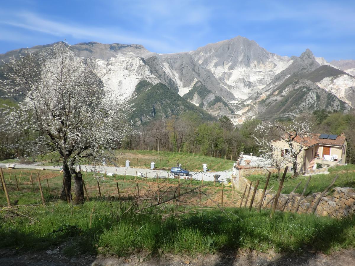 Galleria Ars Apua Carrara Exterior foto